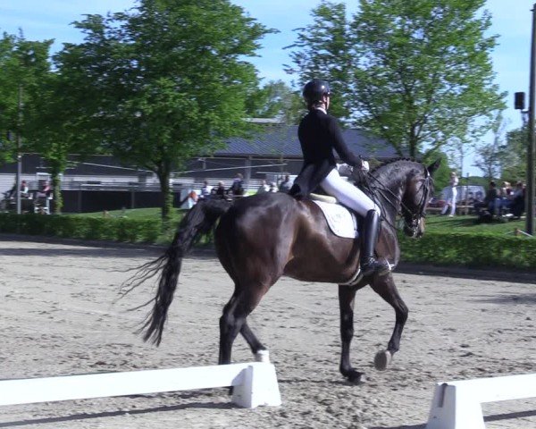 Reitturnier Olfen 2025
