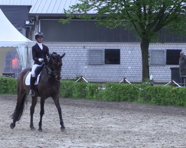 Reitturnier Olfen 2025