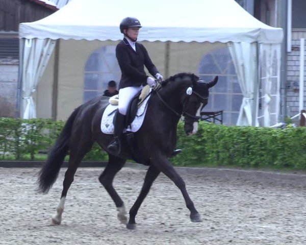 Reitturnier Olfen 2025
