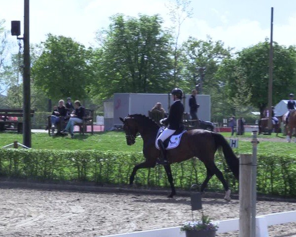 Reitturnier Olfen 2025