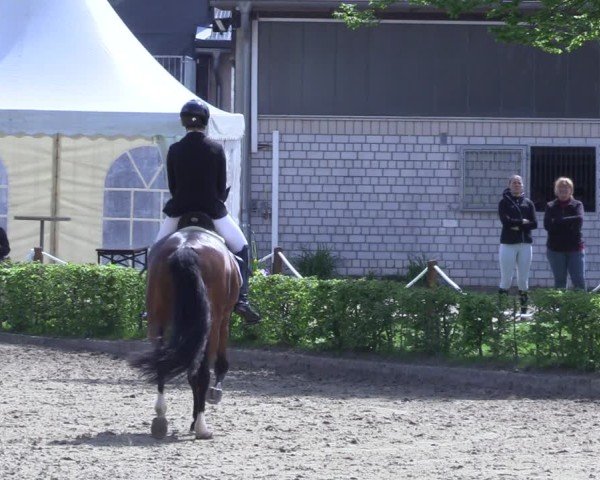 Reitturnier Olfen 2025