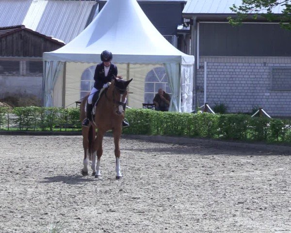 Reitturnier Olfen 2025