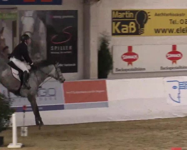 Hallenspringturnier in Borken 2014