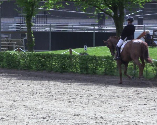 Reitturnier Olfen 2025