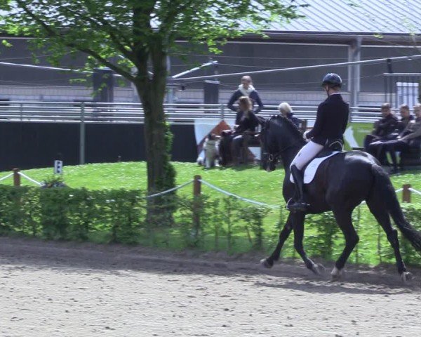 Reitturnier Olfen 2025