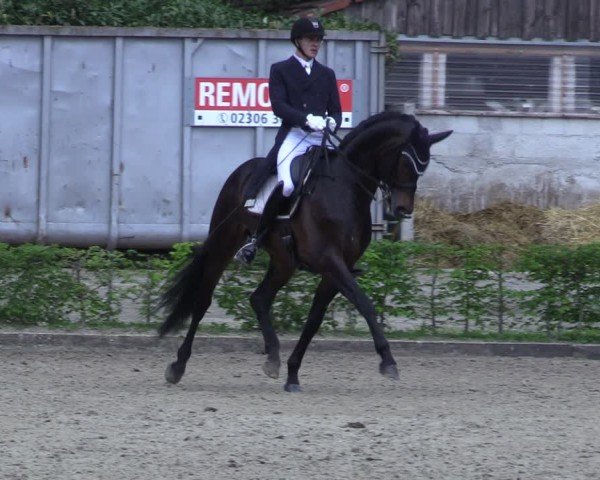 Reitturnier Olfen 2025