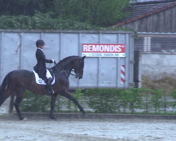 Reitturnier Olfen 2025