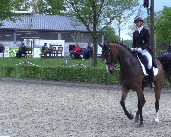 Reitturnier Olfen 2025