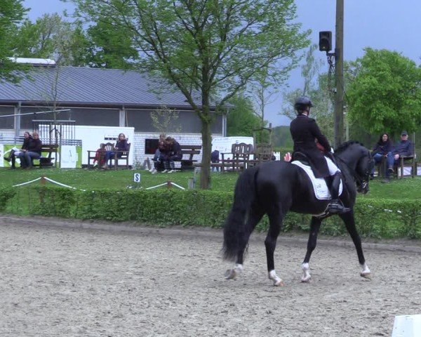 Reitturnier Olfen 2025