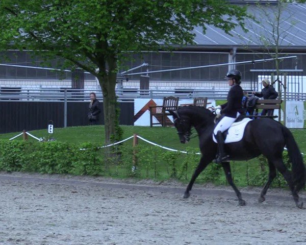Reitturnier Olfen 2025