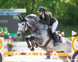 stallion Clinton's Top (Hanoverian, 2017, from Clinton's Heart)