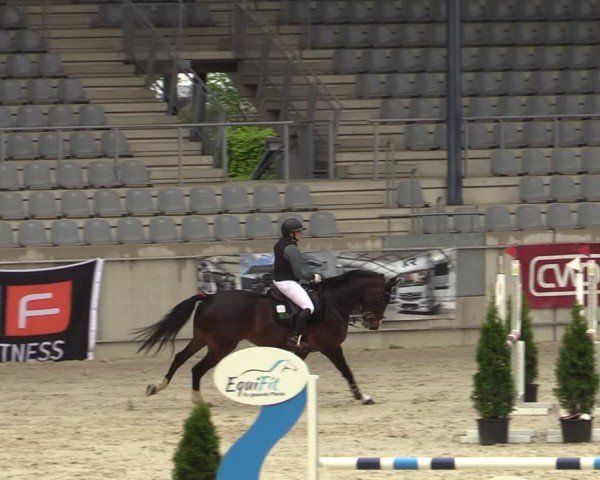 Reitturnier Aachen 2025