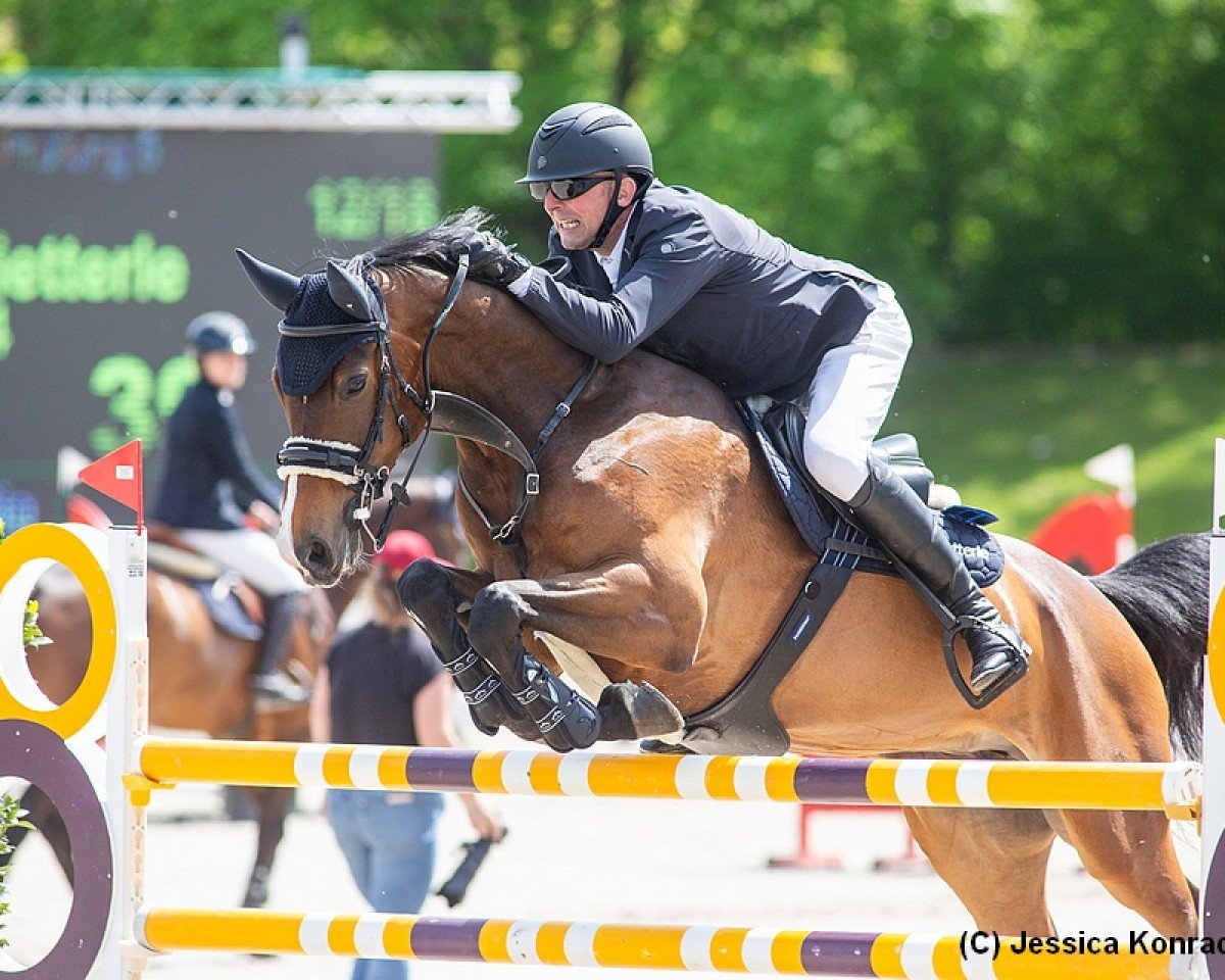 Springpferd Corinna 124 (Hannoveraner, 2016, von Capistrano 2)