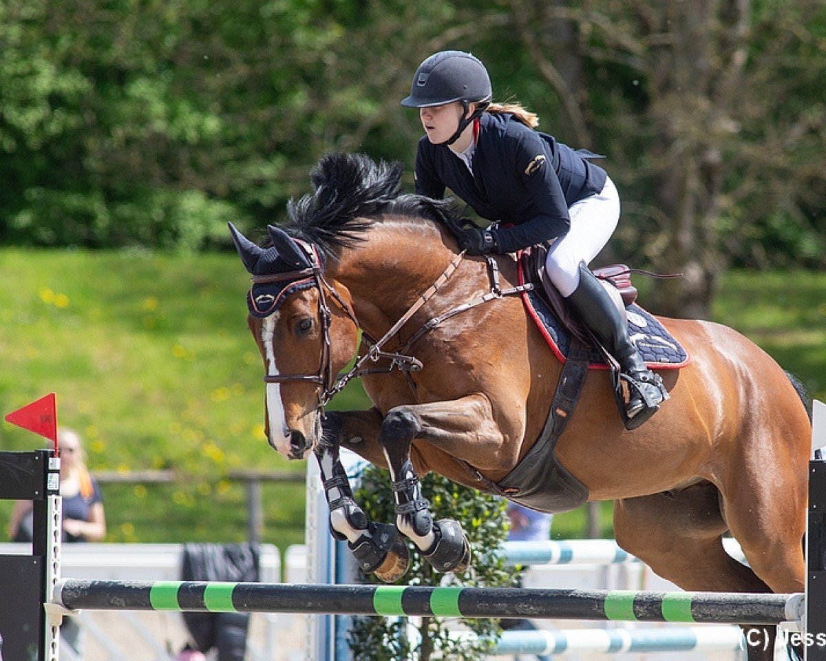 Cavallo da salto DYLAN HH (Cavallo Sportivo Tedesco, 2015, di Diarado)