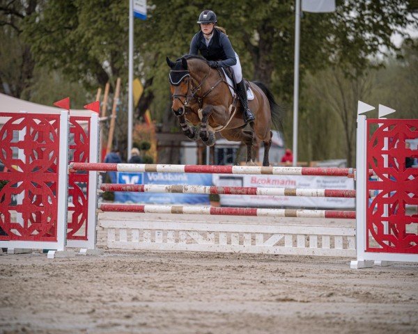 jumper Cascadeur 115 (Westphalian, 2018, from Comme il Faut)