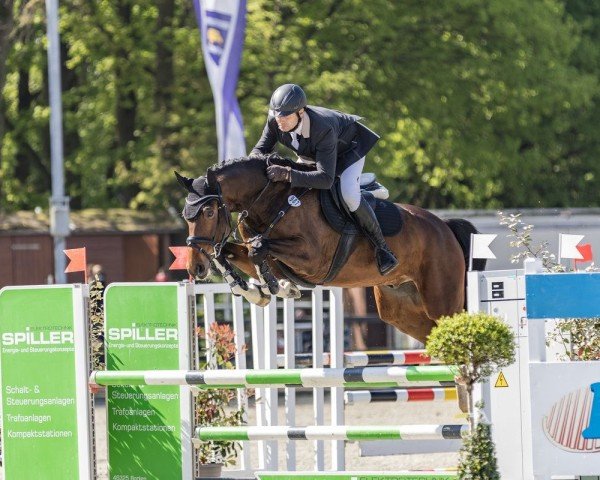 jumper Unico Tu (Holsteiner, 2020, from UNITED WAY)