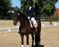 dressage horse Rock Forever's Sunshine (Westphalian, 2018, from Rock Forever NRW)