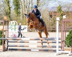 Springpferd Balira 3 (Holsteiner, 2021, von Balturo Fromecs)
