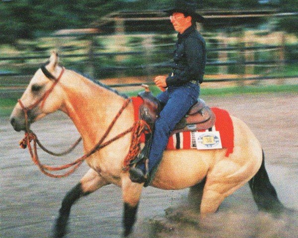 stallion Topsail Flashy Jac (Quarter Horse, 1992, from Boggies Flashy Jac)