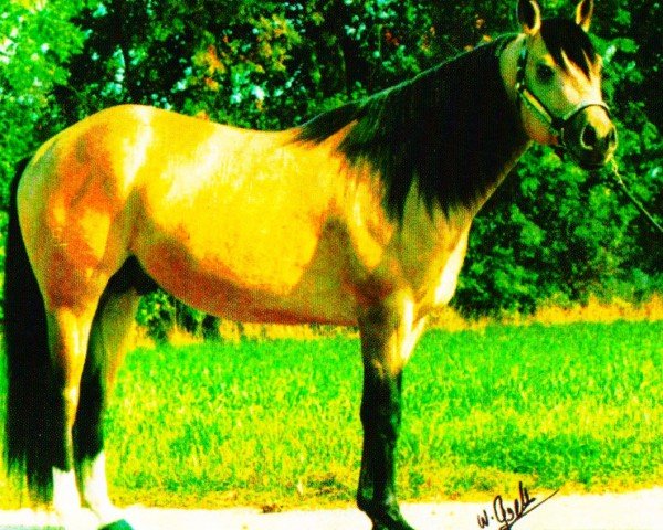 horse Overwelmer (Quarter Horse, 1992, from Surprise Enterprise)
