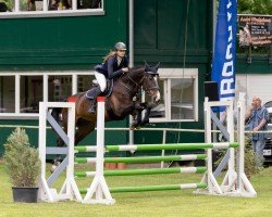 jumper Aisha 143 (German Sport Horse, 2005, from Pius)