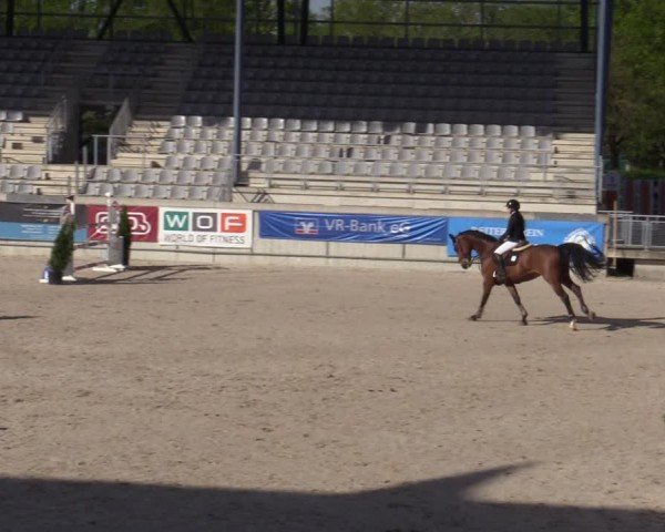 Reitturnier Aachen 2025
