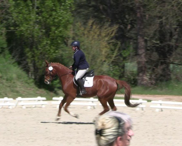 Reitturnier Pietzpuhl 2025