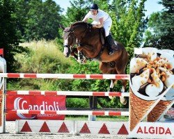 Springpferd Erasco J (KWPN (Niederländisches Warmblut), 2009, von Tangelo van de Zuuthoeve)