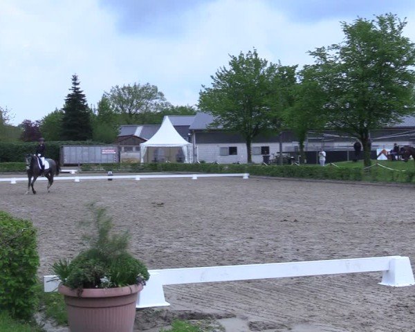 Reitturnier Olfen 2025