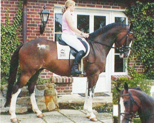 horse Caliente Coraon (Holsteiner, 2001, from Carpaccio)