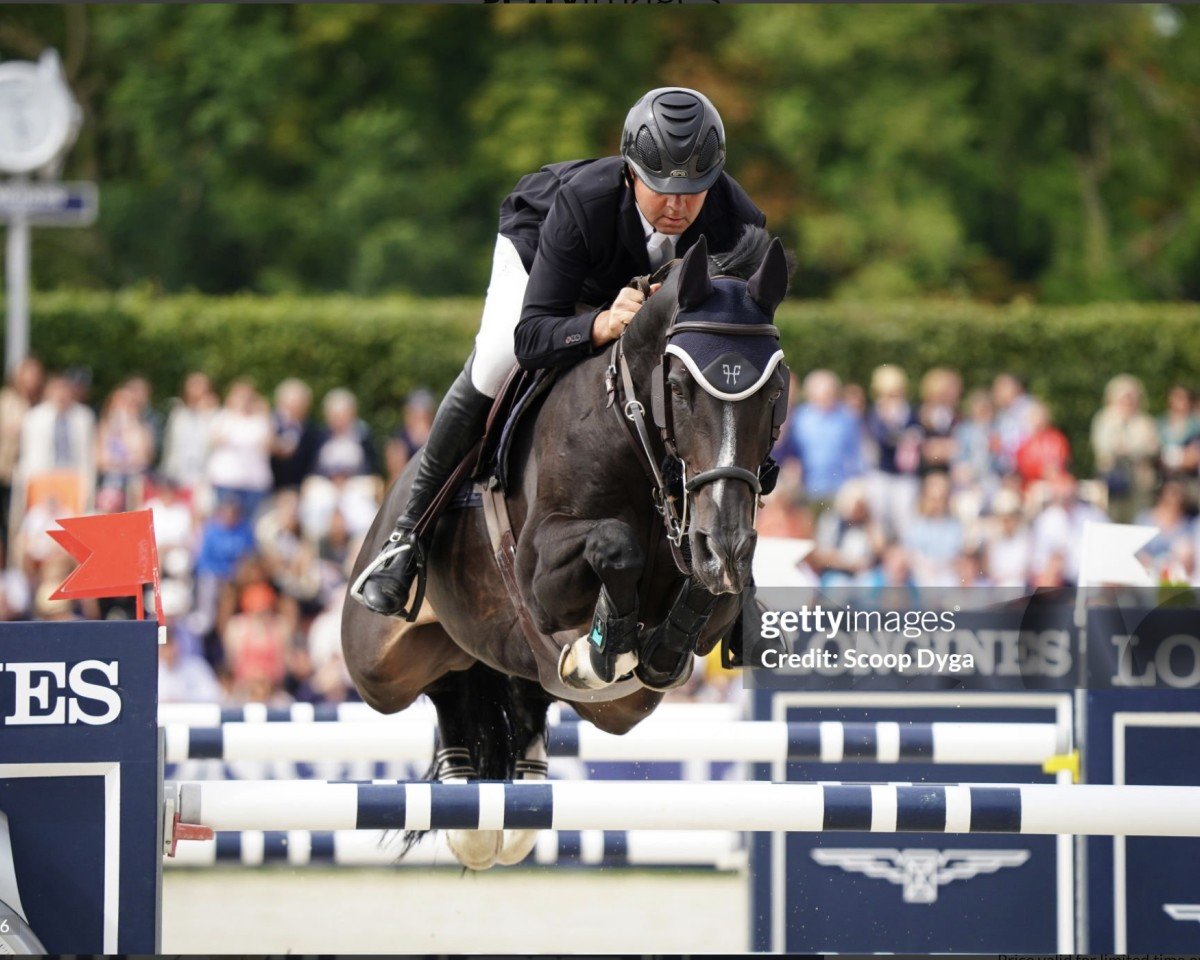 jumper Vitot du Chateau (Selle Français, 2009, from Toulon)