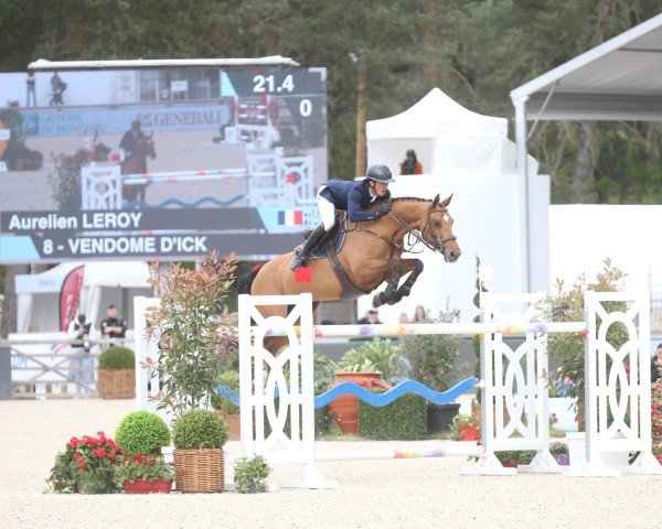 broodmare Vendome D'Ick (Selle Français, 2009, from Arko III)