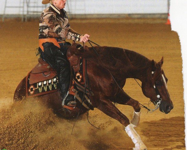 Pferd Dreams And Prizes (Quarter Horse,  , von Magnum Chic Dream)