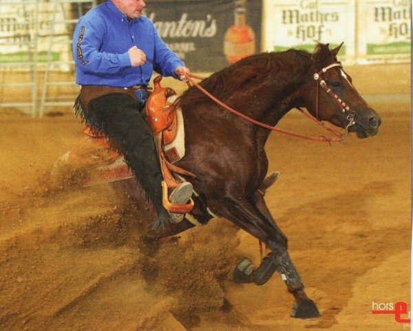horse Little Whiz Chic (Quarter Horse, 2003, from Topsail Whiz)