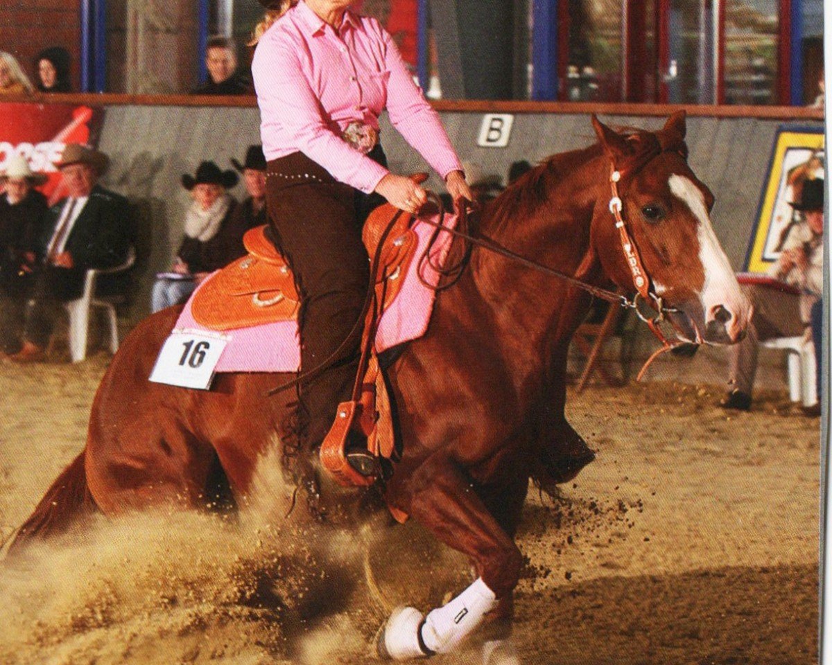 stallion LDR Gun Of Enterprise (Paint Horse, 2007, from Colonels Smoking Gun)