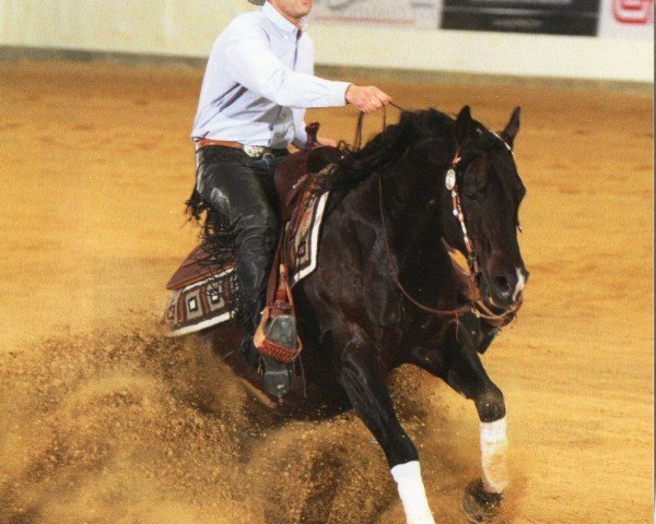 Pferd Rooster Nic (Quarter Horse, 2006, von Gallo Del Cielo)