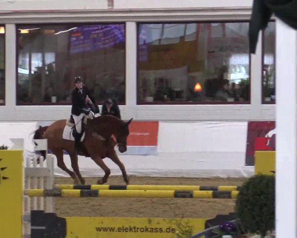 Hallenspringturnier in Borken 2014