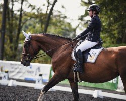 jumper Miss Peppermint (German Sport Horse, 2017, from Peppermint Blue)