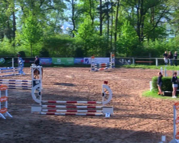 Reitturnier Burgkunstadt-Theisau/Ofr. 2025