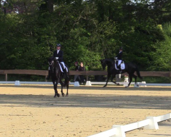 Reitturnier Wesel-Obrighoven 2025