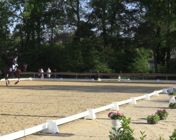 Reitturnier Wesel-Obrighoven 2025