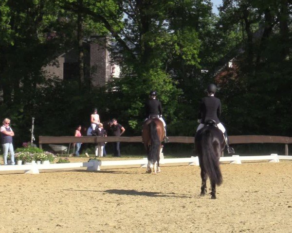 Reitturnier Wesel-Obrighoven 2025