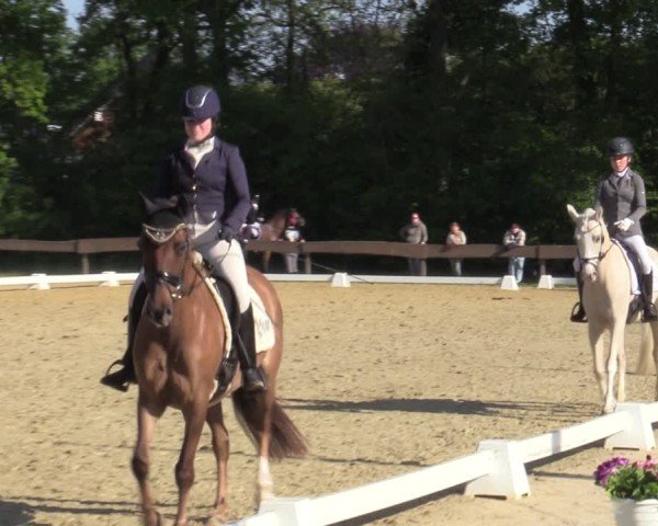 Reitturnier Wesel-Obrighoven 2025