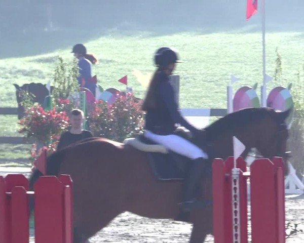 Reitturnier Looperholz 2025
