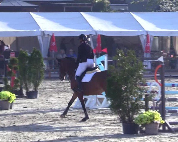 Reitturnier Looperholz 2025