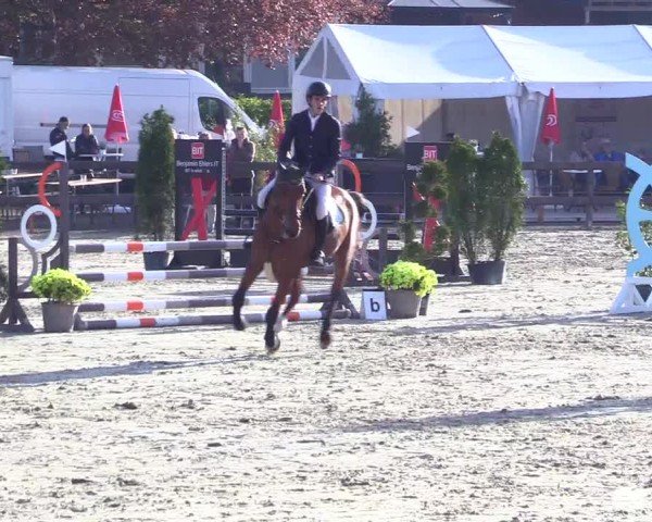 Reitturnier Looperholz 2025