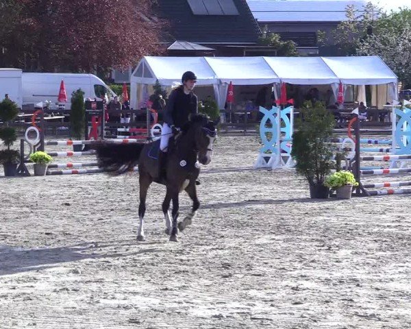 Reitturnier Looperholz 2025
