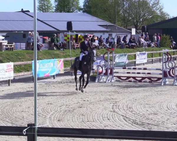Reitturnier Looperholz 2025
