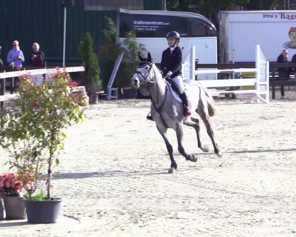 Reitturnier Looperholz 2025