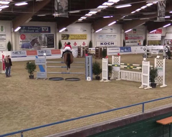 Hallenspringturnier in Borken 2014